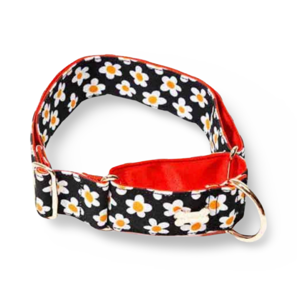 NORADOG MartinGale Collare Daisy