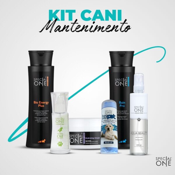 Kit Mantenimento