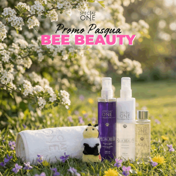 🐝Bee Beauty🐝