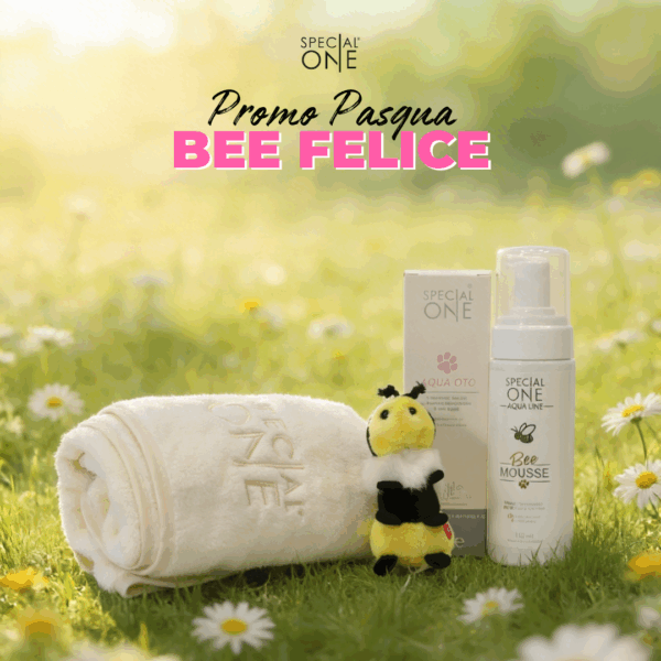 🐝Bee Felice🐝