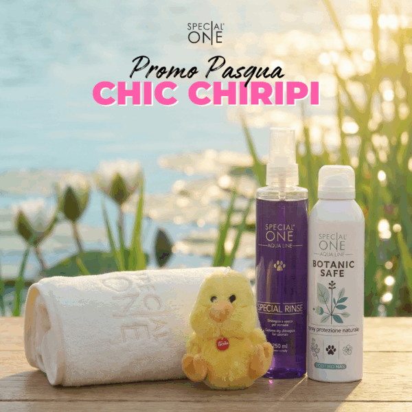 🐥Chic Chiripi🐥