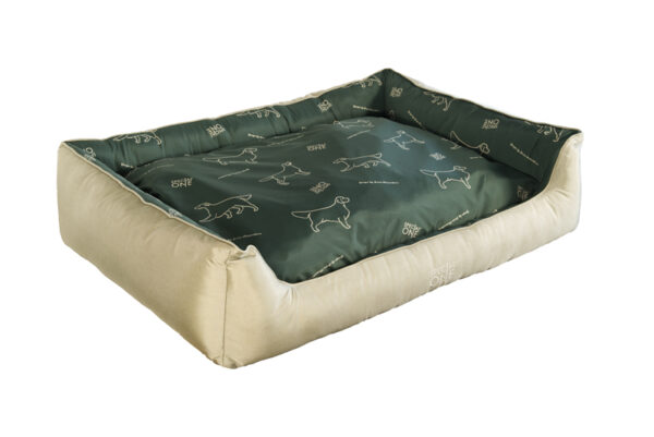 Cuccia Retriever