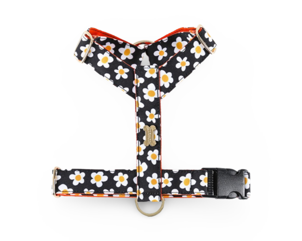 NORADOG Daisy H Harness