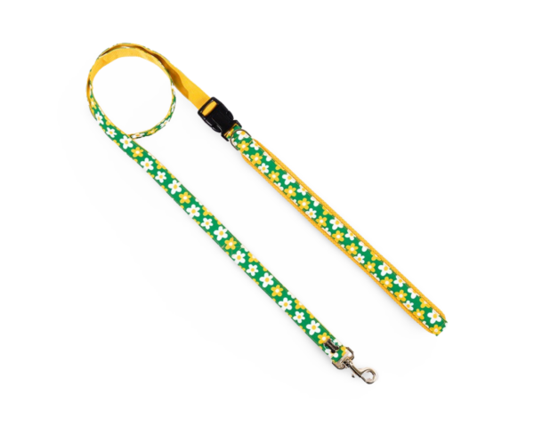 NORADOG Belt Leash Pic Nic