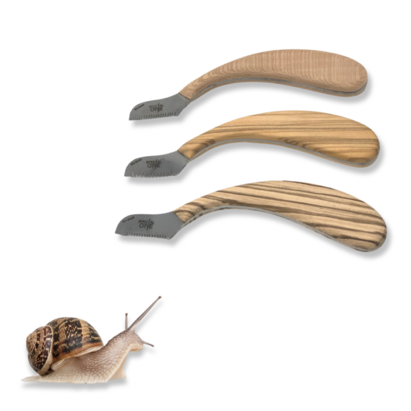 SNAIL