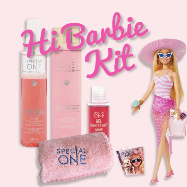 Hi Barbie Kit