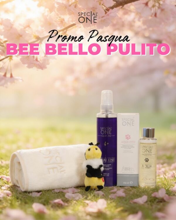 🐝Bee Bello Pulito🐝