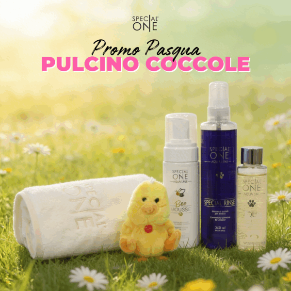 🐣Pulcino Coccole🐣