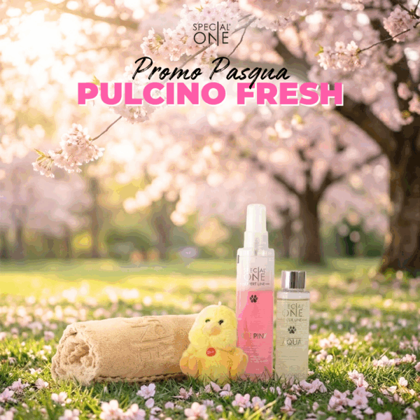 🐥Pulcino Fresh🐥