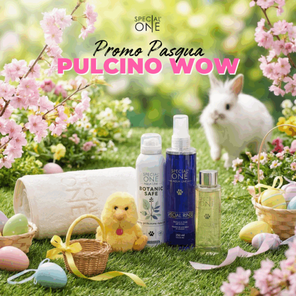 🐤Pulcino Wow🐤