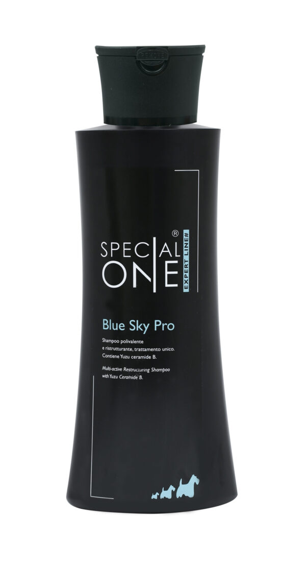 Blue Sky Pro